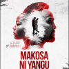Makosa ni yangu
